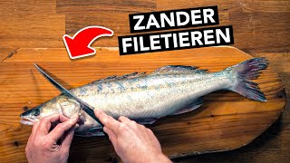 ZANDER FILETIEREN für Anfänger 🔪 super einfach amp ohne Gräten [upl. by Asinet]