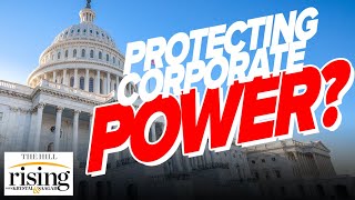 Author EXPOSES Bipartisan Consensus On Protecting Corporate Power [upl. by Aicinad]