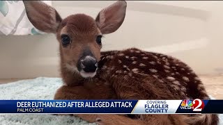 Neighbors upset about how a pet deer was killed after allegedly attacking a man [upl. by Whyte454]