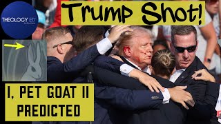 I Pet Goat II Explained Pt 62 Trump Shot in Ear July 2024  Confirmation of Plan [upl. by Gagnon]