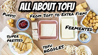 Tofu Types  What to DO with them From soft to super firm silken vs regular plus specialty tofu [upl. by Conlee]