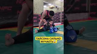 ТРЕНЕР ТАЙСОНА СИЛЬНО МУЧАЕТЬ😱 [upl. by Supat400]