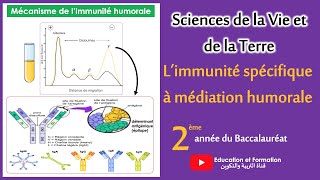 Limmunité spécifique à médiation humorale 2ème Bac SVT [upl. by Nahum]