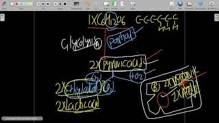 RESPIRATION IN PLANTONE SHOT REVISION NEET2024 [upl. by Sinai]