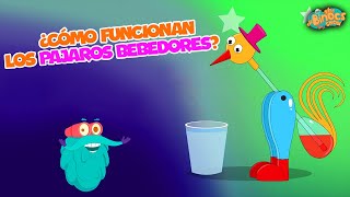 Cómo Funcionan Los Pajaros Bebedores  Conocimientos Generales  Documentales Para Niños  learn [upl. by Maroney407]