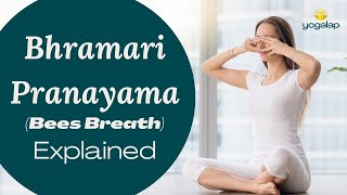 Bhramari Pranayama  Bees Breath  Pranayama with Michaël Bijker [upl. by Atined]