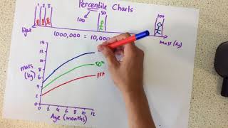 Percentile Charts  p21 [upl. by Atauqal956]