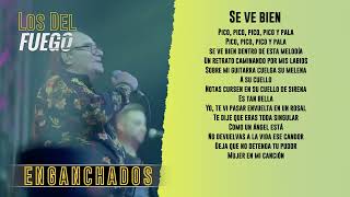 Los del Fuego  Se ve bien │ Letra  Lyric [upl. by Brott]