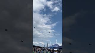 ￼ Parachuters Oshkosh airventure Day 2 [upl. by Ayekim]