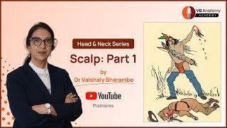 Understanding Scalp Anatomy Layers Structures and Clinical Significance  Part 1 [upl. by Akihsan11]