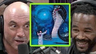 Joe Rogan and Rashad Evans Compare DMT Experiences [upl. by Dunkin815]