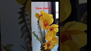 BELDA Decor studio🌹ytshorttrendingvideoshort [upl. by Aratal]