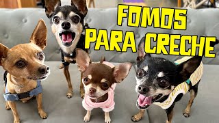 FOMOS PARA UMA CRECHE DE CÃƒES E RECEBEMOS BOLETIM DE COMPORTAMENTO [upl. by Ellehcar594]