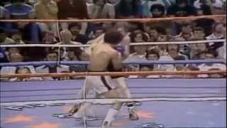 Salvador Sanchez Champions Forever  The Latin Legends [upl. by Ahusoj]