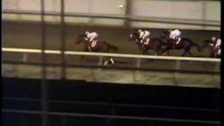 Storm Cat  1985 Young America Stakes Part Two [upl. by Idorb654]