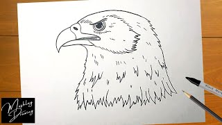 How to Draw Eagle Head Easy Step by Step [upl. by Rehpinej]