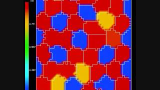 Delta Notch Patterning Simulation [upl. by Oz]