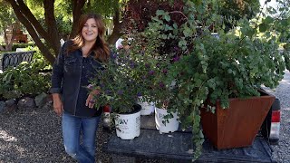 Planting Sun Loving Shrubs Butterfly Bush Ninebark amp Coralberry 💚🌿💚  Garden Answer [upl. by Erin]