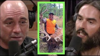 Joe Rogan Explains Hunting to Russell Brand [upl. by Anaitsirk]