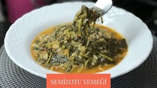 Semizotu Yemeği Tarifi  Naciye Kesici  Yemek Tarifleri [upl. by Eirellav]