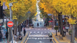 【洋楽playlist】 部屋でかけ流したいお洒落な曲  早起きした朝に聞く気持いい洋楽  🍂 秋の朝にリラックスできる音楽プレイリスト  穏やかなひとときを楽しむ洋楽 作業用BGM [upl. by Auqinaj]