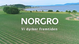 Norgro  Løk [upl. by Nats836]