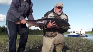 Russia Fishing trips Siberia fishing on Severnaya River [upl. by Annahoj]