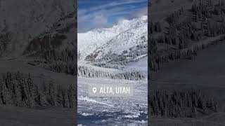 ALTA Ski Resort UTAH [upl. by Witty]