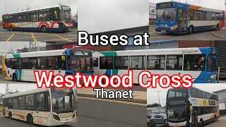 Buses at Westwood Cross Thanet 2022 [upl. by Nirtiac]