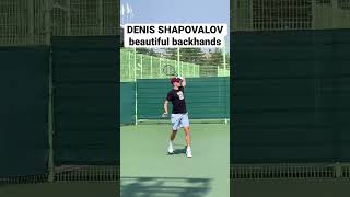 Denis Shapovalov beautiful backhand in slow motion denisshapovalov canada tennis tenis backhand [upl. by Ayerdna664]