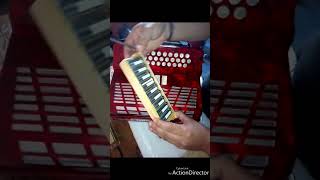 REVIEW ACORDEON MONTANARI 1RA PARTEFRECUENCIAS DE AFINACION [upl. by Adok]