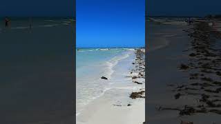 Holbox en el Caribe mexicano [upl. by Trudi]