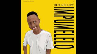 DJ Black Low ft Black R KDalo Frego — Akulalwa  Amapiano [upl. by Antonie]