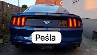 tlumik wydech przelot mufflers Ford Mustang 23 Ecoboost Peśla [upl. by Acirederf534]