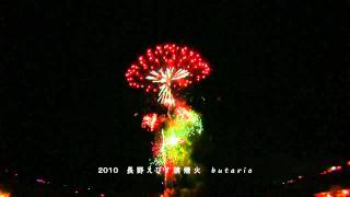 2010 Mushroom Fireworks 長野えびす講煙火 [upl. by Isborne86]