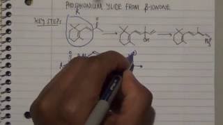 Key to Manufacturing Vitamin A Phosphonium ylide from Betaionone [upl. by Zonda]