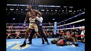 Deontay Wilder All Knockouts 390 [upl. by Rocker]