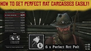 How to get perfect Rat Carcasses easily  Red Dead Redemption 2 [upl. by Wildee]