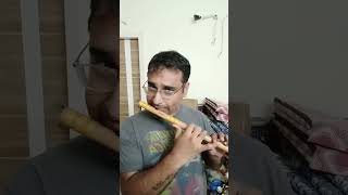 Manohara Song on Flute by Chandrashekhar [upl. by Eleumas123]