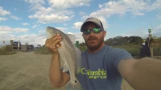 Fishing Guana Dam for redfish [upl. by Mellicent]