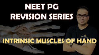 NEET PG INTRINSIC MUSCLES OF HAND [upl. by Sileas]