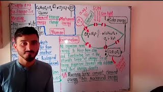 introduction to bioenergetics ll bioenergetics class 9 ll bioenergetics class 9 lecture 1 ll biology [upl. by Tama]