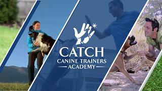 CATCH Training Tips Kennel Safety  Lets Get the Dog Out [upl. by Naut]