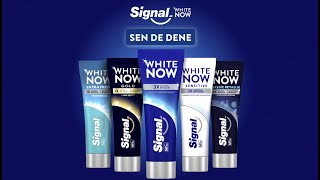 Signal White Now 💙 [upl. by Rosa]