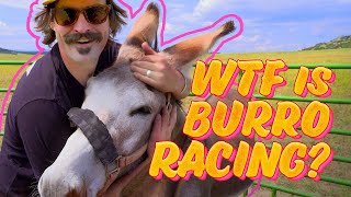 A Beginners Guide and Hilarious Attempt at Colorados Burro Racing [upl. by Eeral]