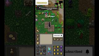 TibiaME  LVL UP 258 Evento Double xp games tibiagame gameplay tibia [upl. by Aikahc550]