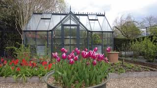 Theobalds Farmhouse Garden Enfield at tulip time [upl. by Enram]