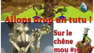 Dofus Jeremysadi  Allons drop un tutu sur le Chêne mou 15 [upl. by Aerdied]