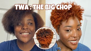 CUTTING MY NATURAL HAIR TWA Cut BIG CHOP  Color Ginger [upl. by Ching]