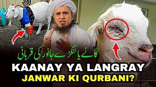 Kany Ya Langry Janwar Ki Qurbani [upl. by Sturdivant331]